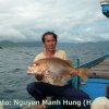 Cau Ca Biển